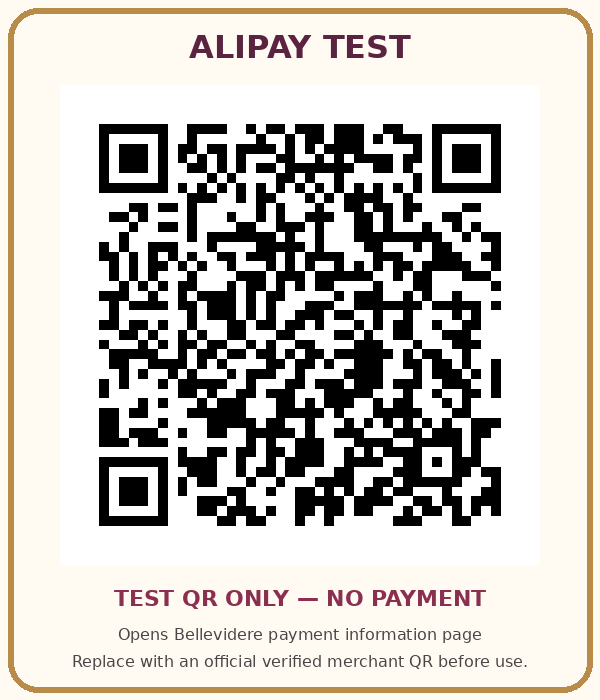 Alipay testing QR code — no payment processed